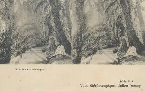 Vues Stereoscopiques Julien Damoy Algeria BISKRA une seguia