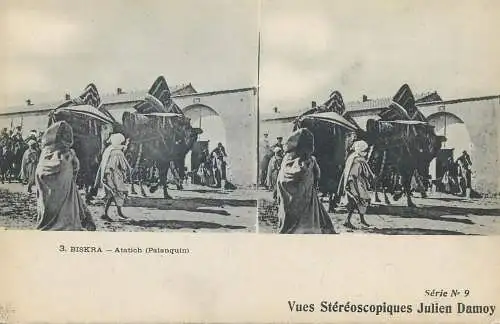 Vues Stereoscopiques Julien Damoy Algeria BISKRA Atatich Palanquin