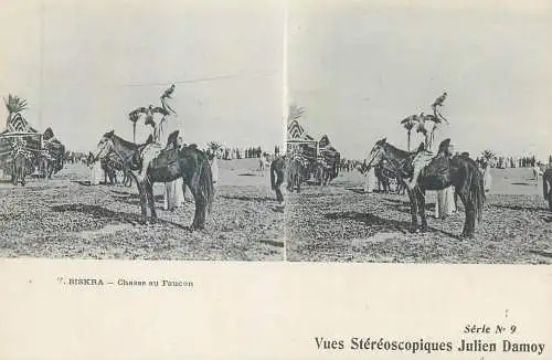 Vues Stereoscopiques Julien Damoy Algeria BISKRA chasse au Faucon