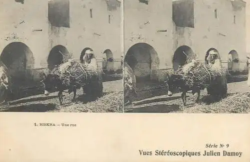 Vues Stereoscopiques Julien Damoy Algeria BISKRA une rue