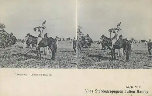 Vues Stereoscopiques Julien Damoy Algeria BISKRA chasse au Faucon