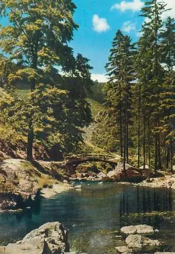Germany Okertal Der schone Harz picturesque natural landscape