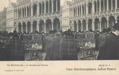 Vues Stereoscopiques Julien Damoy BRUXELLES La marche aux Oiseaux
