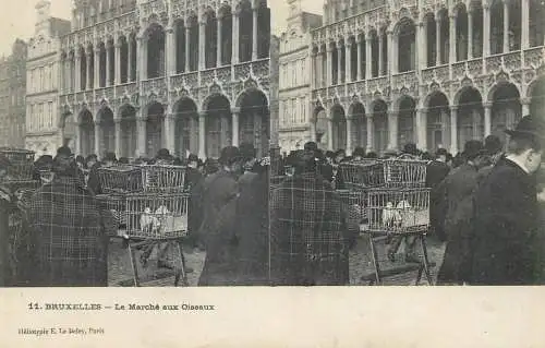 Vues Stereoscopiques Julien Damoy BRUXELLES le marche aux Oiseaux
