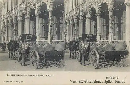 Vues Stereoscopiques Julien Damoy BRUXELLES devant la Maison du Roi cart