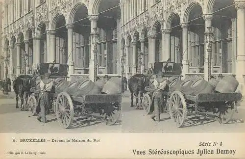 Vues Stereoscopiques Julien Damoy BRUXELLES devant la Maison du Roi cart