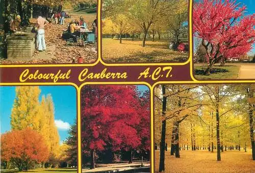 Australia Canberra (A.C.T) autumn colours multi view