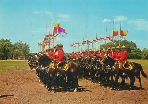 Canada Royal Canadian Mounted Police Musical Ride training drill