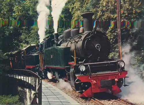 Tourist Museum Railway Blonay-Chamby