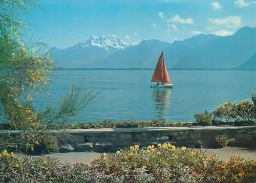 Switzerland Lac Leman et les Dents du Midi
