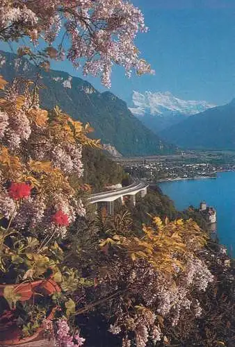Switzerland Les Dents du Midi & Le Chateau de Chillon autumn colours