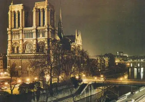 France Paris Notre Dame Cathedral nocturnal aspect