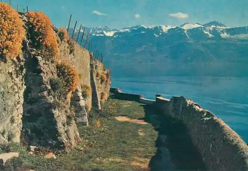 Switzerland Lavaux et Alpes de Savoie