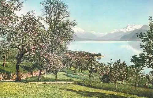 Switzerland Vevey et les Dents du Midi