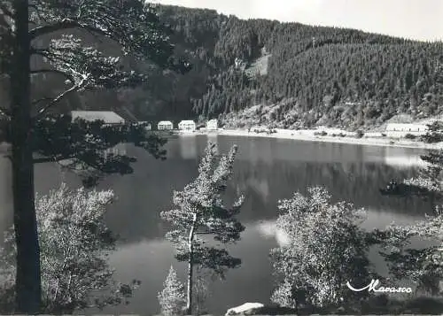 France Les Hautes Vosges Le Lac Noir