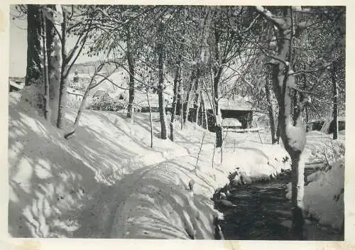 France Megeve sous bois d'hiver