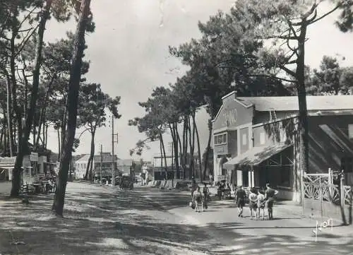 France Ile d'Oleron Saint Trojan Avenue de la plage