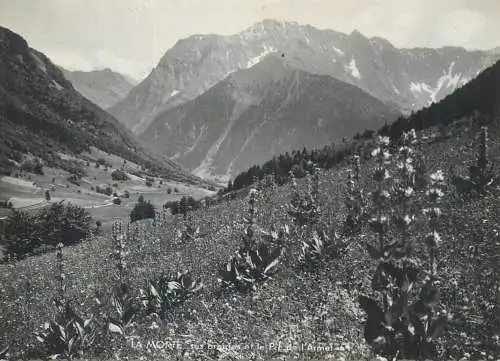 France  La Morte en Dauphine paysage en montagne