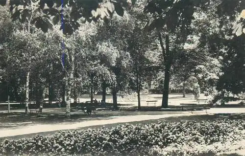 France Vichy parc vue