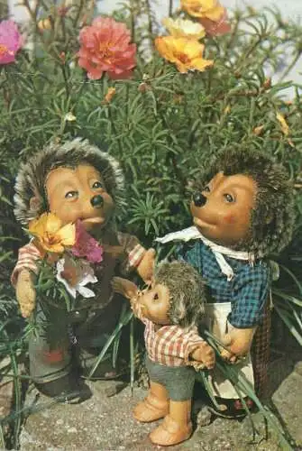 Mecki hedgehog family types and scenes