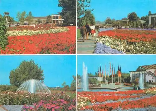 Postcard Germany demokratische republik internationale gartenbauausstellung Erfurt