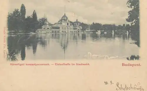 Postcard HUngary Budapest Varosligeti koresolyacsarnok Stadtwald