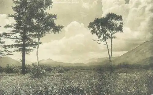 Japan scenic vintage postcard Sen Iogahara Nikko