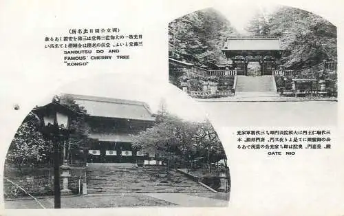Japan scenic vintage postcard famous Sanbutsu Do and famous cherry tree