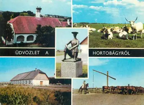 Hungary Hortobagy multi view