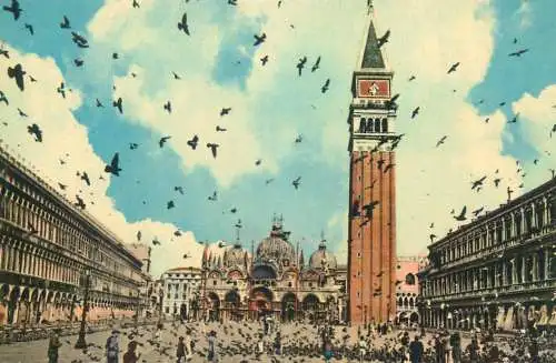 Italy Venezia Piazza S. Marco flight of pigeons