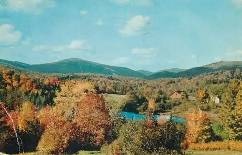 USA Shelburne VT autumn colours general view