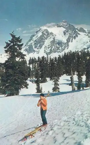 Postcard US United States WA Washington Mt. Shuksan Mt. Baker forest 1959