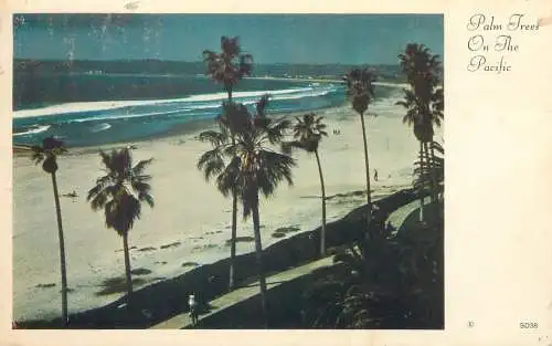 Postcard USA United States Pacific San Francisco beach 1981