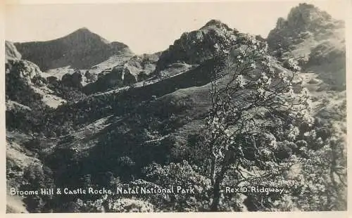 Postcard South Africa 1936 Broome Hill Castle Rocks Natal national park