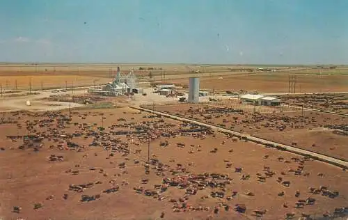 Postcard USA cattle country Hereford Feed Yards Inc. Highway 60