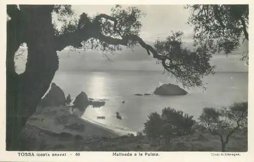 Postcard Spain Costa Brava Tossa matinada a la Palma
