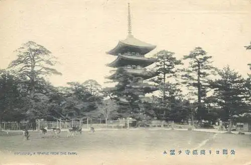Postcard Japan Kofuku-Ji a temple from the park