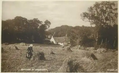 Autumn at Swanston