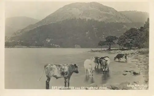 Ullswater and Stybarrow Dodd Hill Cows