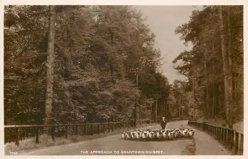 Grantown on Spey