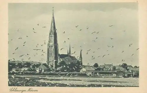 Germany Schleswig seagulls church dom