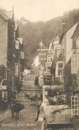 England Clovelly High Street donkeys types and scenes
