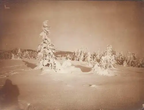 Photo ca. 8 x 11 cm scenic Romania winter landscape