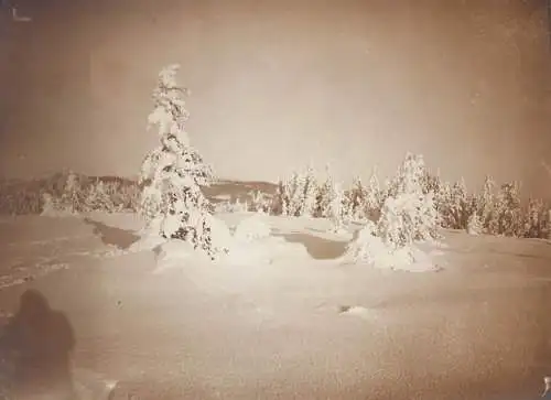 Photo ca. 8 x 11 cm winter scenic Romania