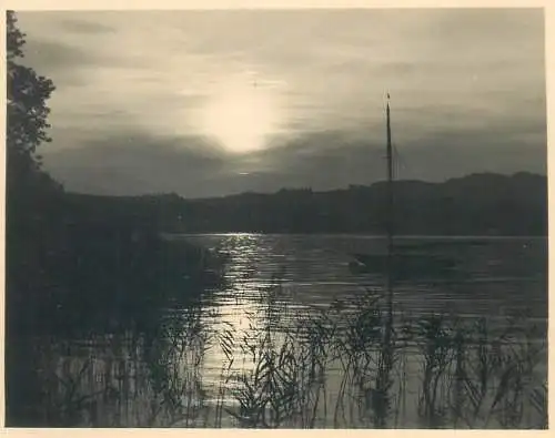 Photo ca. 8 x 11 cm Donauland Danube scenic