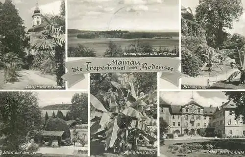 Germany Mainau Tropeninsel im Bodensee multi view