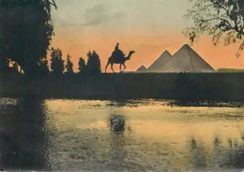 Egypt Pyramids of Giza camel rider evening view