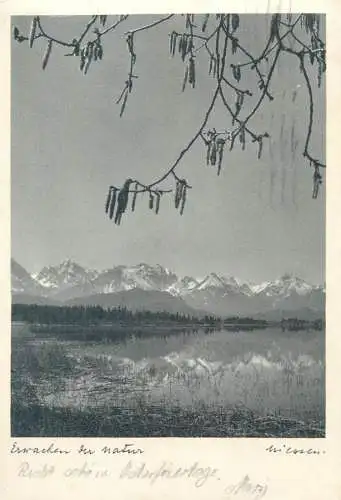 Postcard Germany Bannwaldsee bei Fussen Allgau
