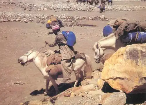 Postcard African bedouin on horse ethnic traditions