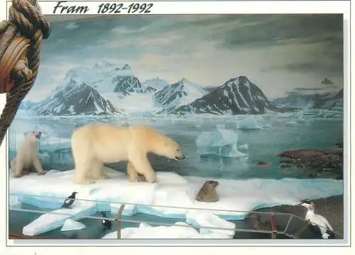 Postcard Norway animals Fram polar bear